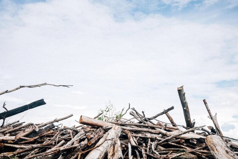 A heap of pruned branches, sticks and offcuts stacked against a fence post under an open sky
